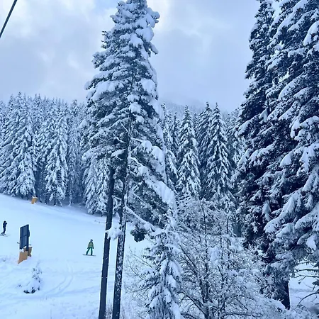 Dimitri Emerald , Near Gondola Appart hôtel Bansko
