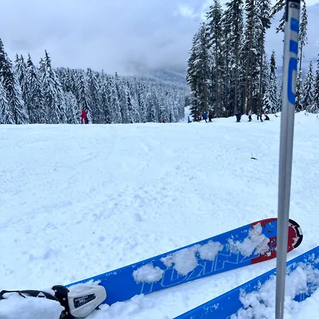 Dimitri Emerald , Near Gondola Aparthotel 4*