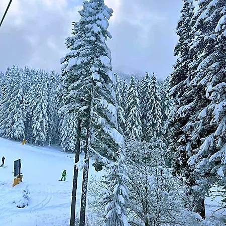 Apart Otel Dimitri Emerald , Near Gondola