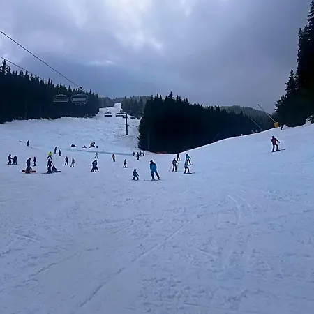Apart Otel Dimitri Emerald , Near Gondola 4*