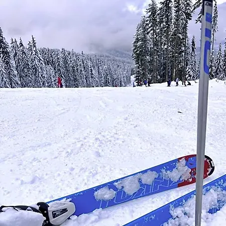 Dimitri Emerald , Near Gondola Apart Otel Bansko